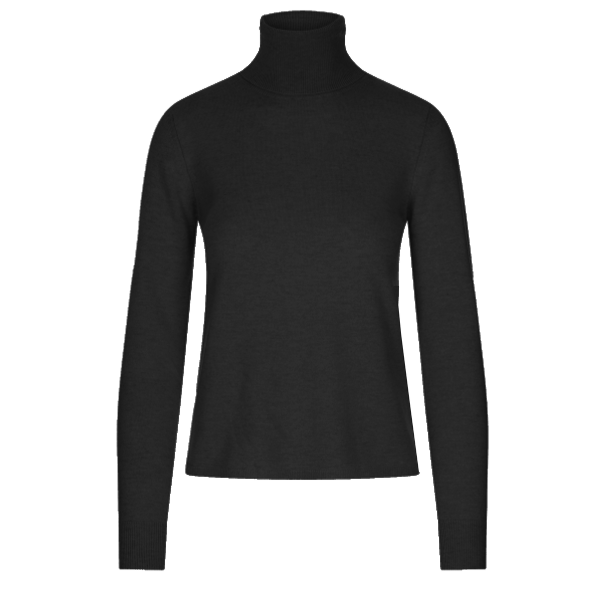 max-mara-studio-damen-pullover-rollkragenpullover-kaschmirpullover-kaschmir-educata-schwarz-black-26366032600-009-1